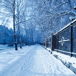 004-winter