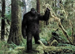 yeti