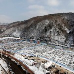 Фестиваль горной форели