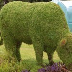 Topiary10.JPG