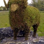 Topiary5.JPG