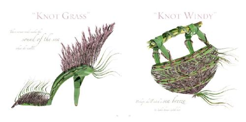 spring_knotgrass.jpg