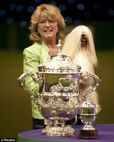 В Англии определен победитель самой престижной в мире выставки собак