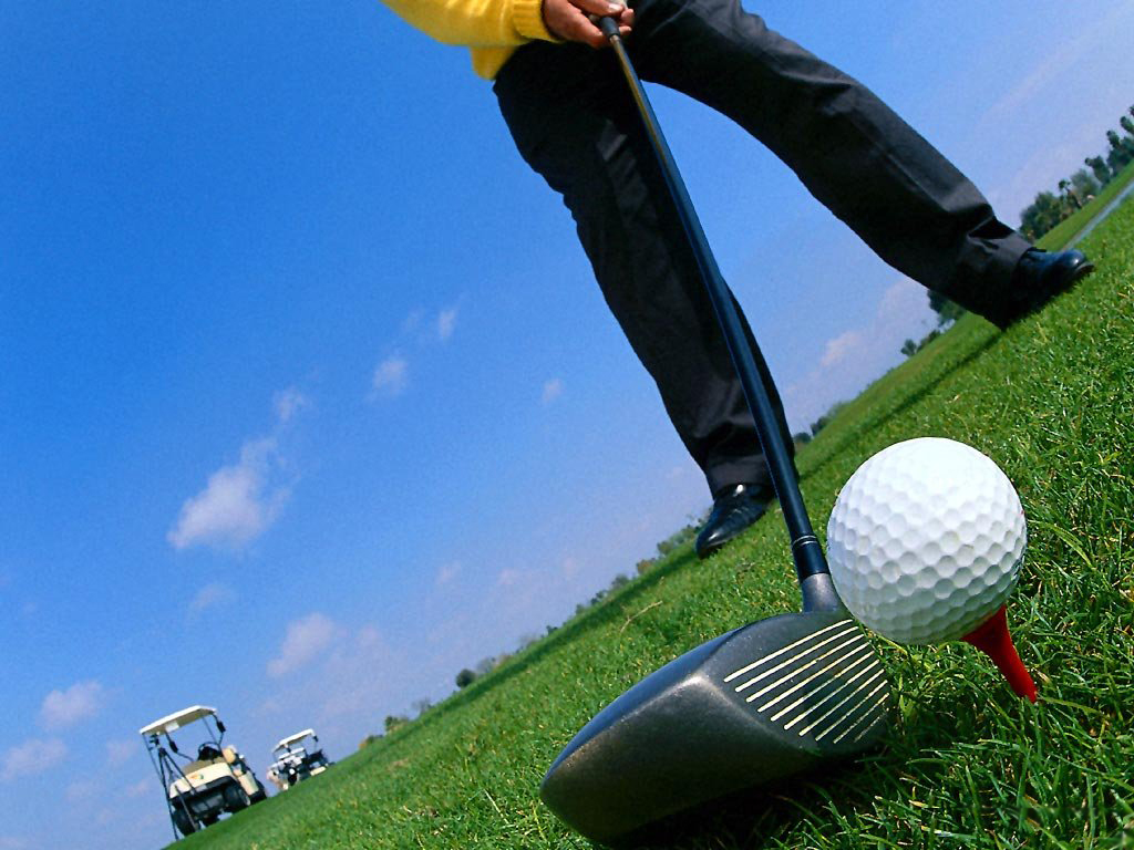  игра в гольф
