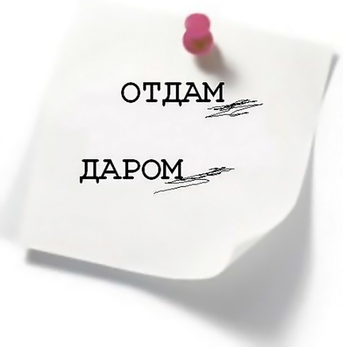 даром отдам картинка онлайн даром отдам картинка