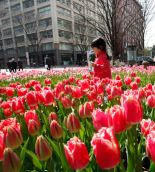 День в фотографии: 18 марта 2010