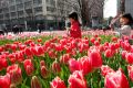 День в фотографии: 18 марта 2010