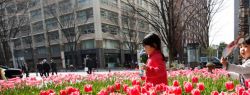 День в фотографии: 18 марта 2010