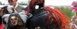 День в фотографии: 6 апреля 2010