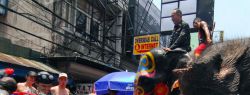 День в фотографии: 14 апреля 2010