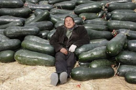 Заснувшие в странных местах