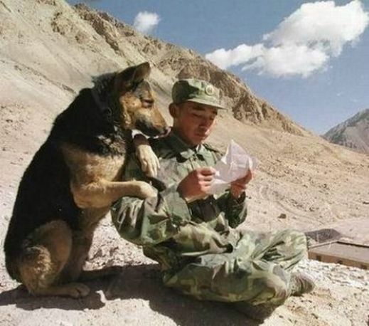 Армейский юмор