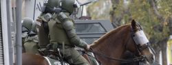 День в фотографии: 24 мая 2010