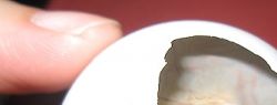 15 самых отвратительных деликатесов