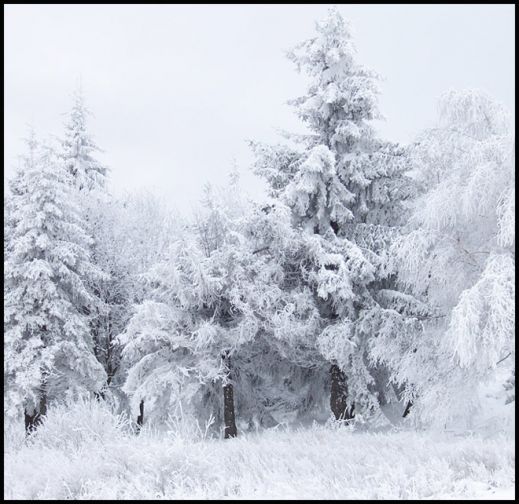 Волшебная зима