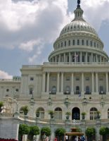 30 июня Александр Лукашенко примет делегацию конгресса США