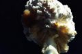 В создании &laquo;противоядерного&raquo; вируса Stuxnet заподозрили Израиль и США