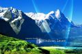 Microsoft теряет доходы от Windows