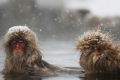 Winter Northern Hemisphere