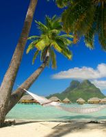 Tired of the gray everyday life? Next to the exotic!
