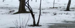5 марта: это интересно знать