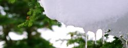 7 марта: это интересно знать
