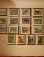 Photography - combining business with pleasure