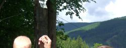 Движение  – это жизнь.