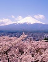 It is also Japan, which we are losing