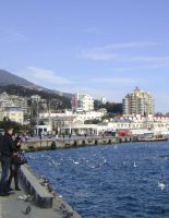 Improving the Crimea hotels