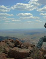 Wilderness and luxury