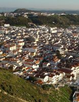 The tastiest fish you can try in Portugal May 7