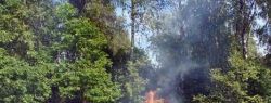 Сегодня — весенний славянский праздник Трибогов день