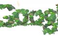 Как интернет может представлять угрозу для климата?