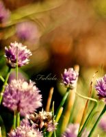 June 30: it is interesting to know