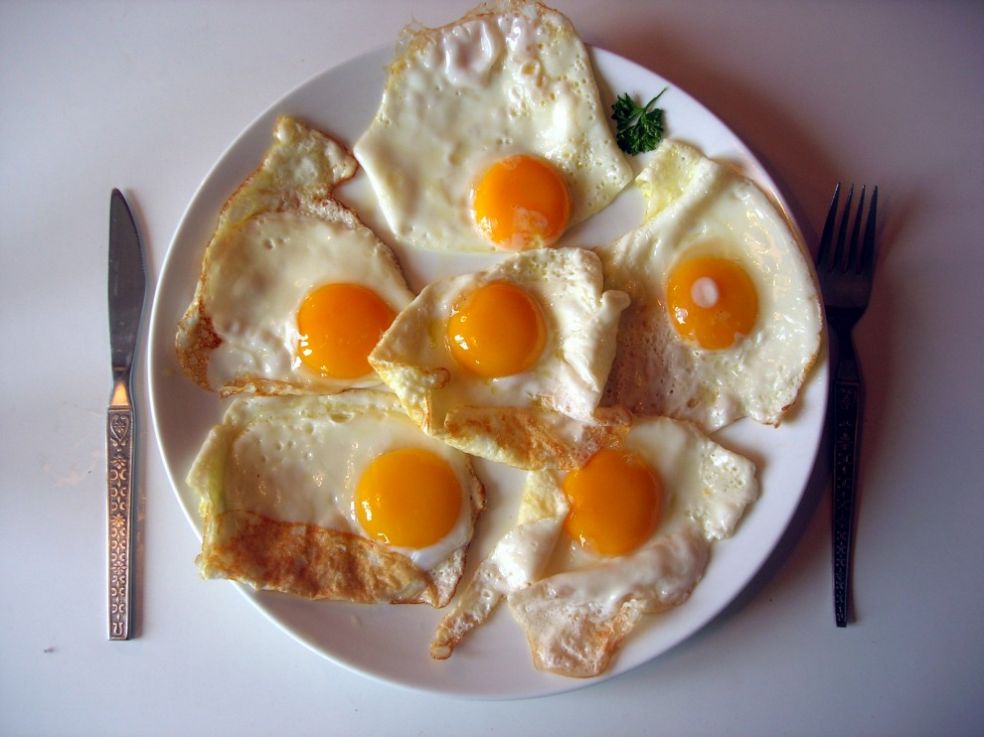 Яйца, сыр и булка с медом - польский завтрак на Евро-2012 / Новости / EURO-2012 / Футбол / Спорт-Экспресс в Украине