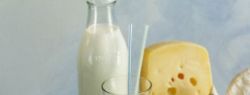 Чтобы похудеть, ешьте молочные продукты