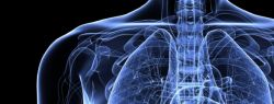 Печень: основные направления ее лечения и очистки