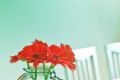 How to rent an apartment for rent in Moscow