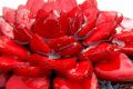 Торт – самый вкусный подарок