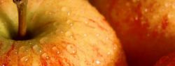 Продукты, которые помогут похудеть. Часть первая