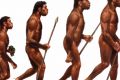 Предложена новая концепция формирования Homo sapiens