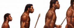 Предложена новая концепция формирования Homo sapiens