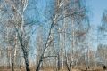 9 декабря: это интересно знать