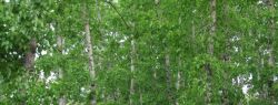 Цена искусства: несколько советов начинающему скульптору
