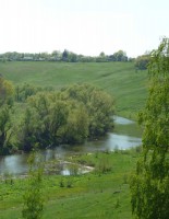 Участки в Подмосковье: как выбрать лучший?