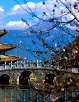 Chinese Civilization and Ancient India