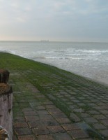 Netherlands: photo-association