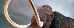 Российские ученые задумали клонировать древних животных