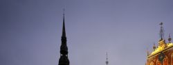 В Швеции новогодние ели предлагают использовать как топливо